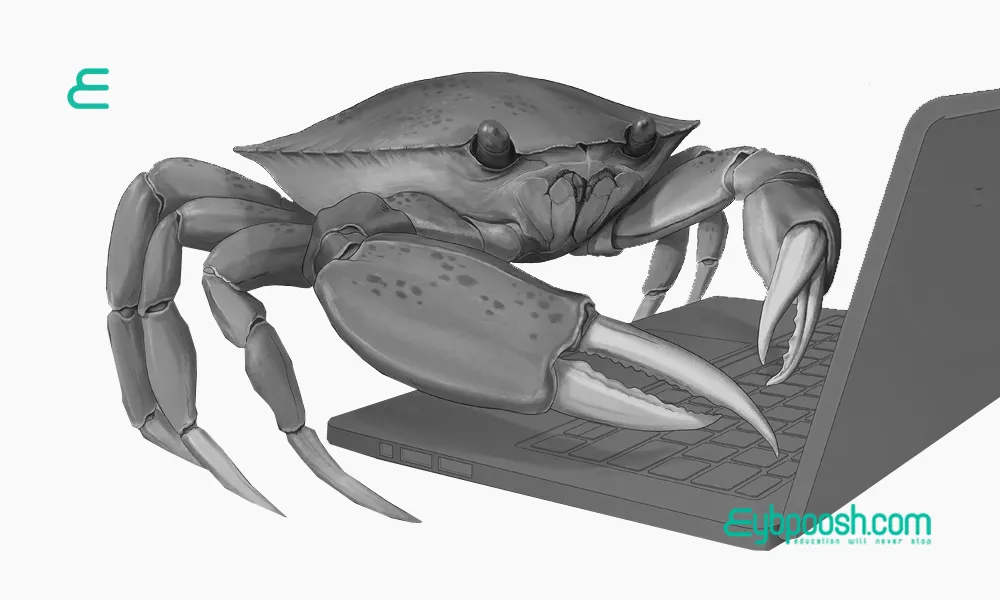 رفتار خرچنگی